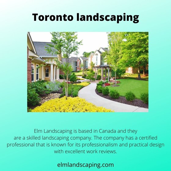 elmlandscaping: elmlandscaping